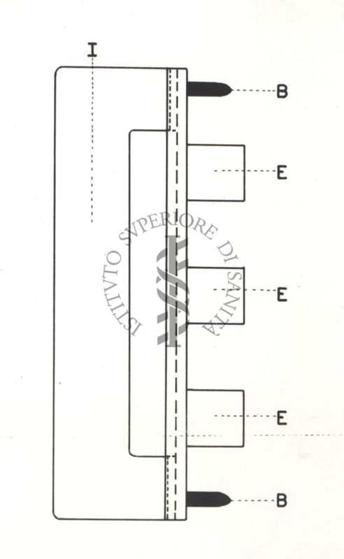 Riproduzione da disegno