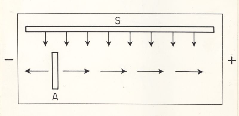 Riproduzione da disegno