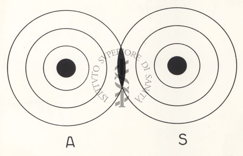 Riproduzione da disegno