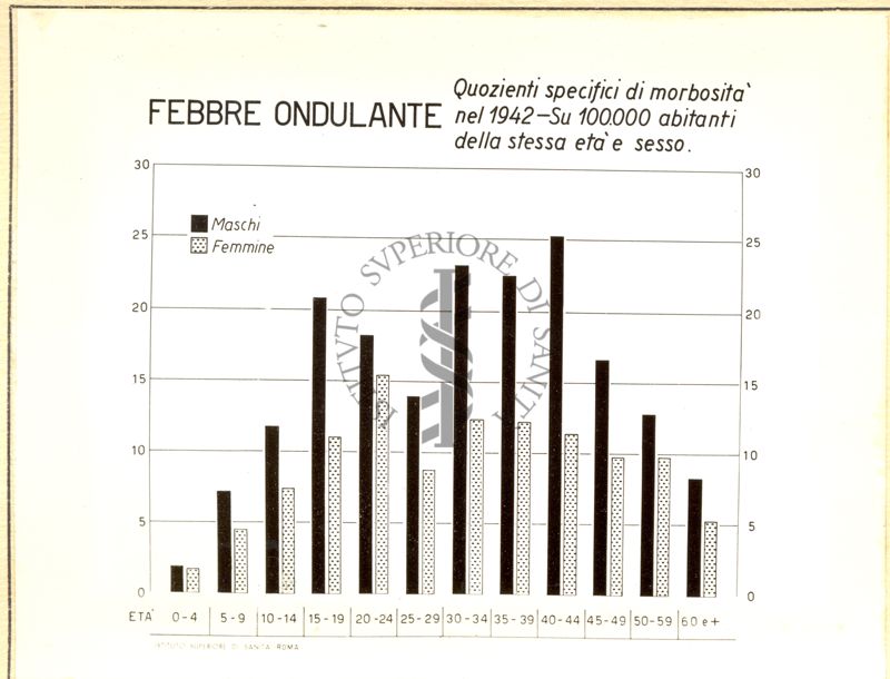 Diagramma riguardante i quozienti specifici di morbosità  nel 1942 per febbre ondulante