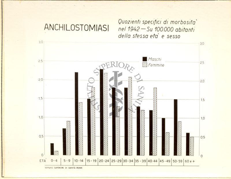 Diagramma riguardante i quozienti specifici di morbosità  nel 1942  per Anchilostomiasi