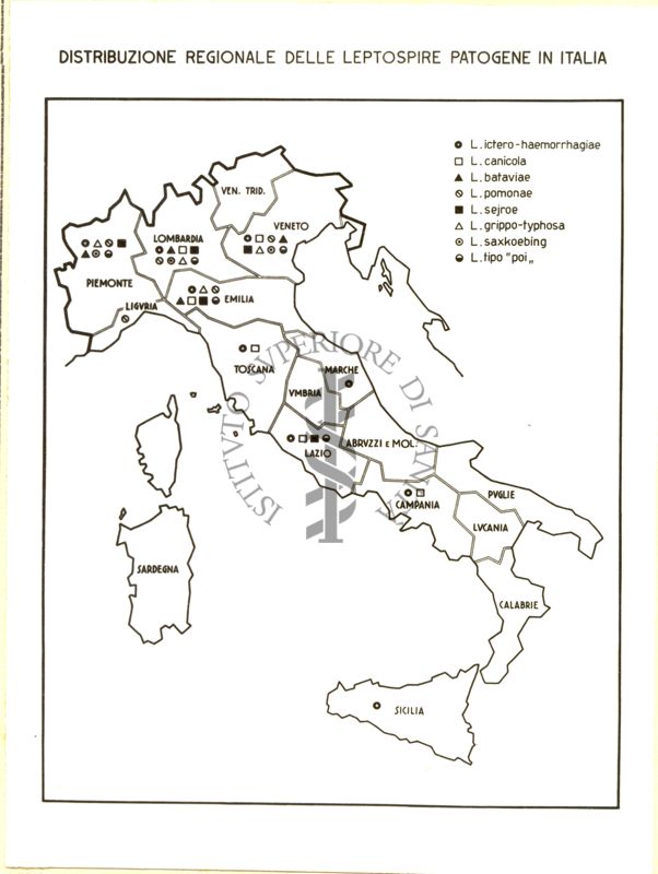 Cartogramma riguardante la distribuzione regionale in Italia delle Leptospire patogene