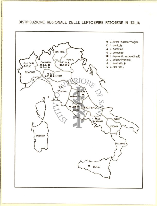 Cartogramma riguardante la distribuzione regionale delle Leptospire patogene in Italia