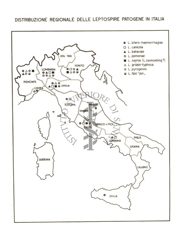 Cartogramma riguardante la distribuzione regionale delle Leptospire patogene in Italia