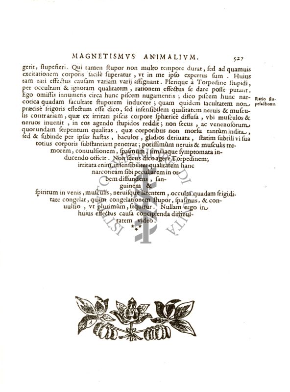 Riproduzioni della pagina 527 della terza edizione del libro "Magnes sive de arte magnetica opus tripartitum" di Athanasius Kircher, Roma MDCLIV