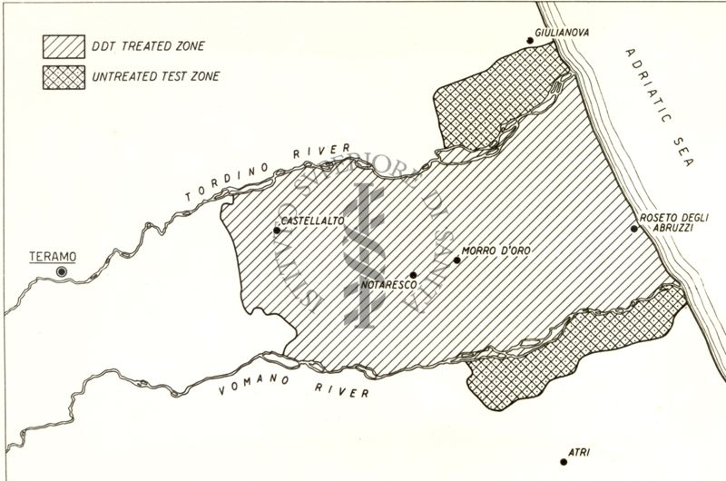 Diagramma riguardante il Bottone d'Oriente nella zona degli Abruzzi