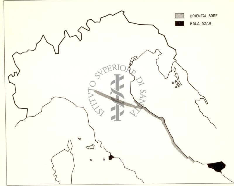 Cartogramma riguardante la distribuzione del Bottone d'Oriente e del Kala Azar nell'Italia Centro Settentrionale