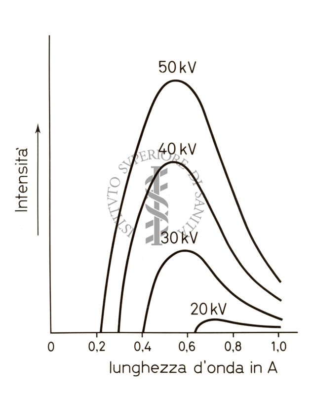 Riproduzioni di grafico dove sono a confronto Intensità (espressa in Kv) con lunghezza d'onda (espressa in A)