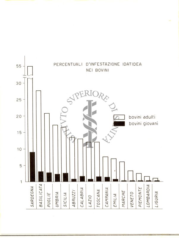 Percentuali d'infestazione idatidea nei bovini