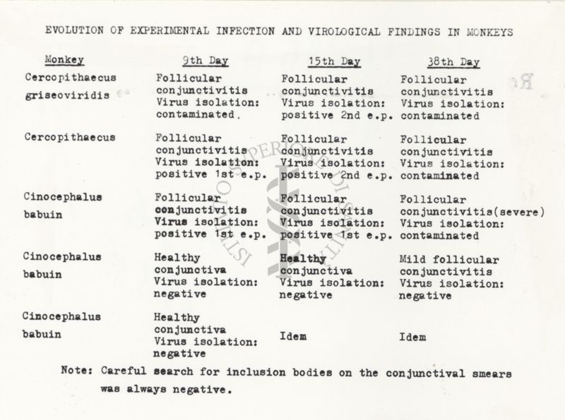 Da copia dattilografica