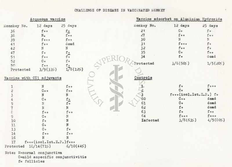 Da copia dattilografica