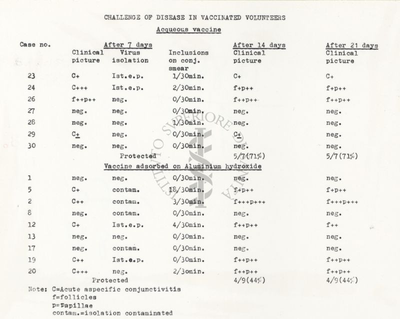 Da copia dattilografica