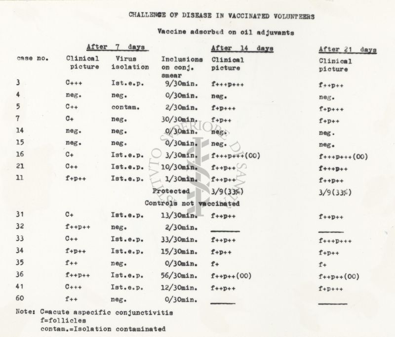 Da copia dattilografica