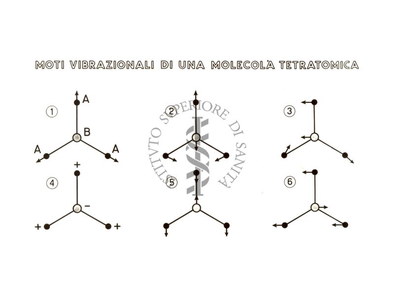 Grafico riguardante i moti vibrazionali di una molecola tetratomica