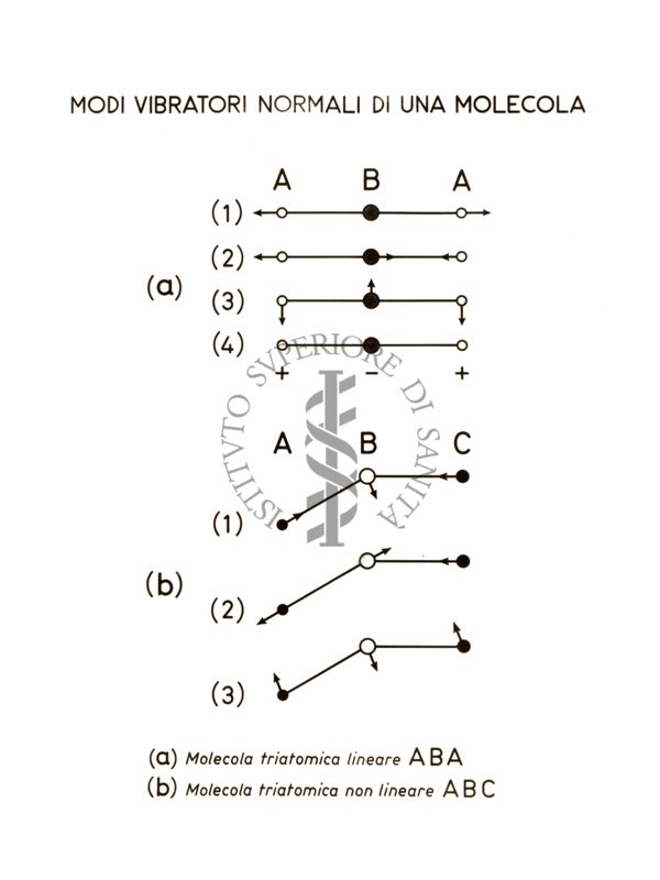 Grafico riguardante i modi vibratori normali di una molecola
