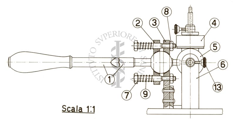 Apparecchio di trasmissione dei movimenti muscolari del braccio realizzato con 2 capsule trasmittenti e una leva connessa con la medesima