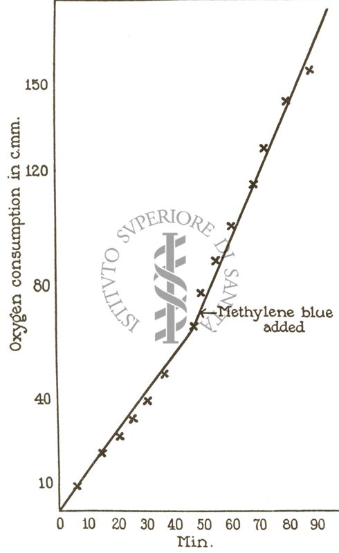 Esperimenti di micro-respirazione - l'effetto del bleu di metilene sul consumo di ossigeno di eritrociti di oca