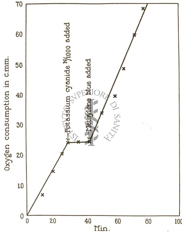 Effetto del bleu di metilene sul consumo di ossigeno di eritrociti di oca in presenza di Kcn.