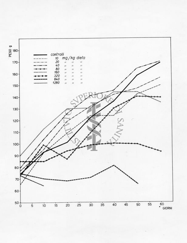 Curve di crescita e metabolismo basale di ratti trattati con idrogeno acido isonicotinico