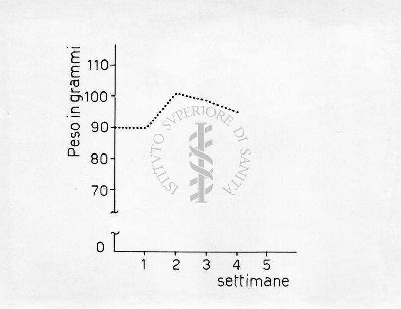 Grafico riguardante l'azione degli ormoni STH e testosterone su tessuto osseo - cartilagineo