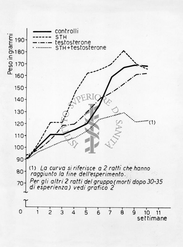 Grafico riguardante l'azione degli ormoni STH e testosterone su tessuto osseo - cartilagineo