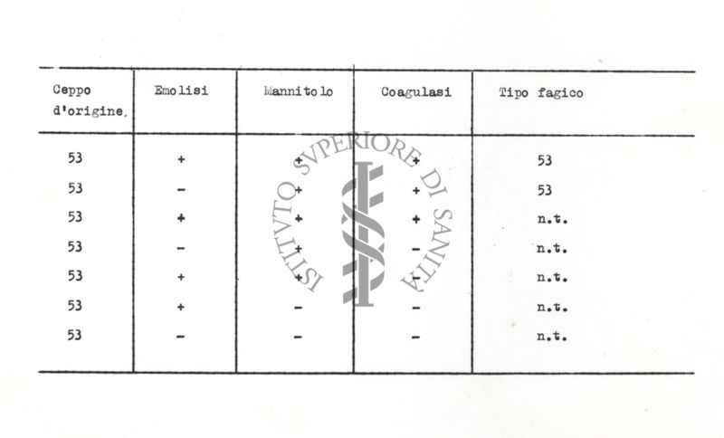 Riproduzione