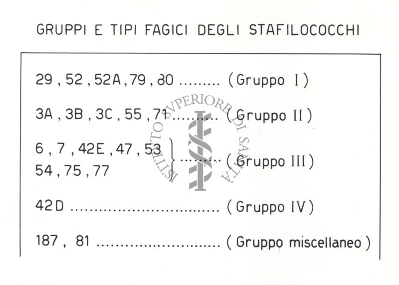 Riproduzione