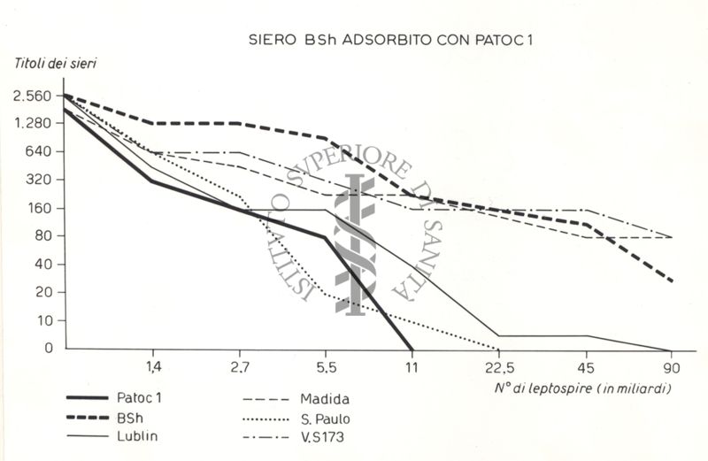 Riproduzione