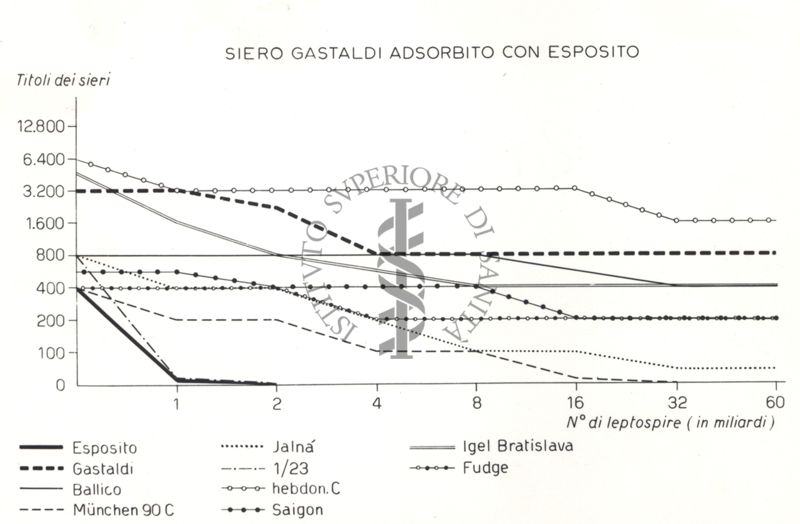 Riproduzione