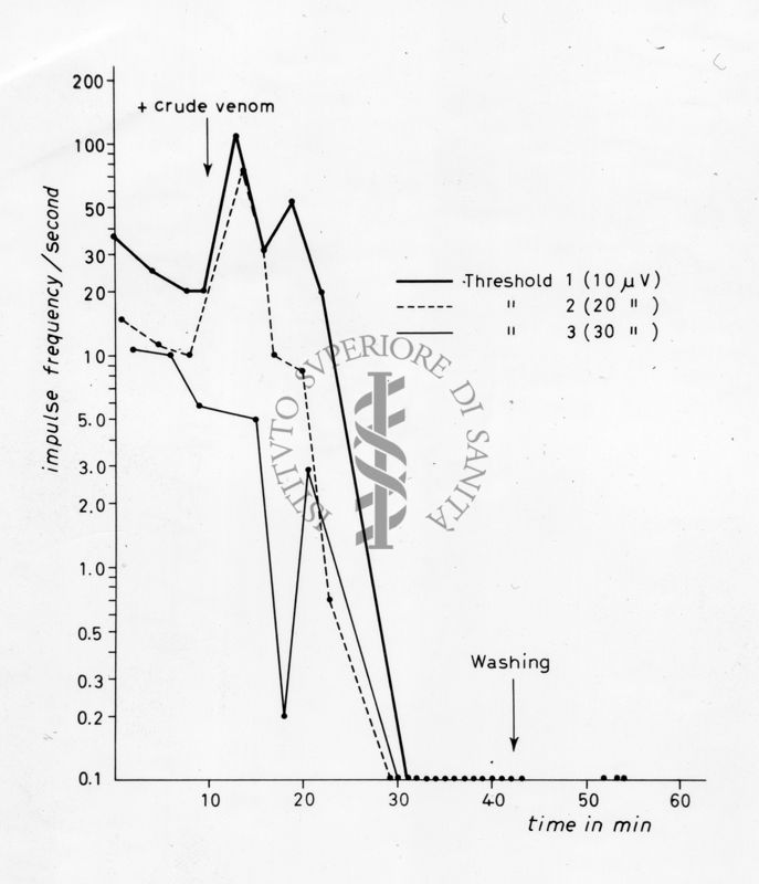 Grafico da studio sul veleno del ragno Latrodectus sp. (malmignatta) - Asse ordinate: impulso frequenza/secondo; Asse ascisse: tempo in minuti