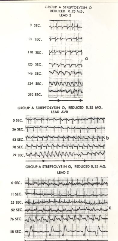 Riproduzione