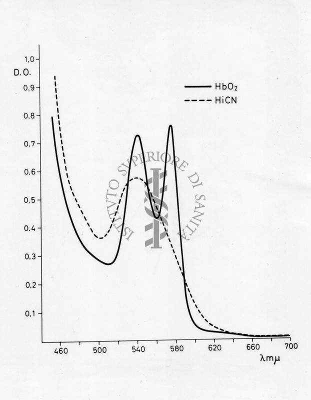 Montaggio di gel cromatografico su carta