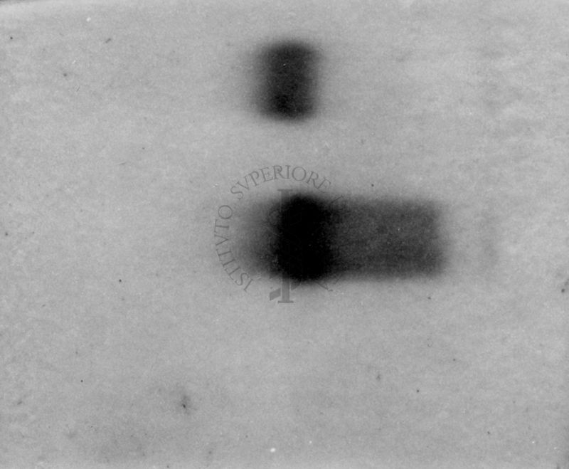 Montaggio di gel cromatografico su carta