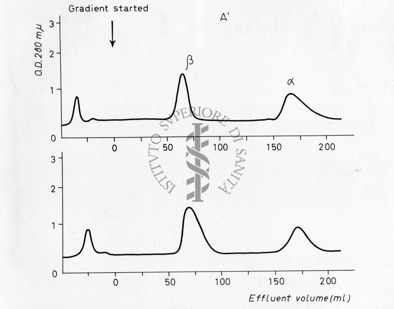 Grafici risultanti dalla combinazione di 2 differenti valori