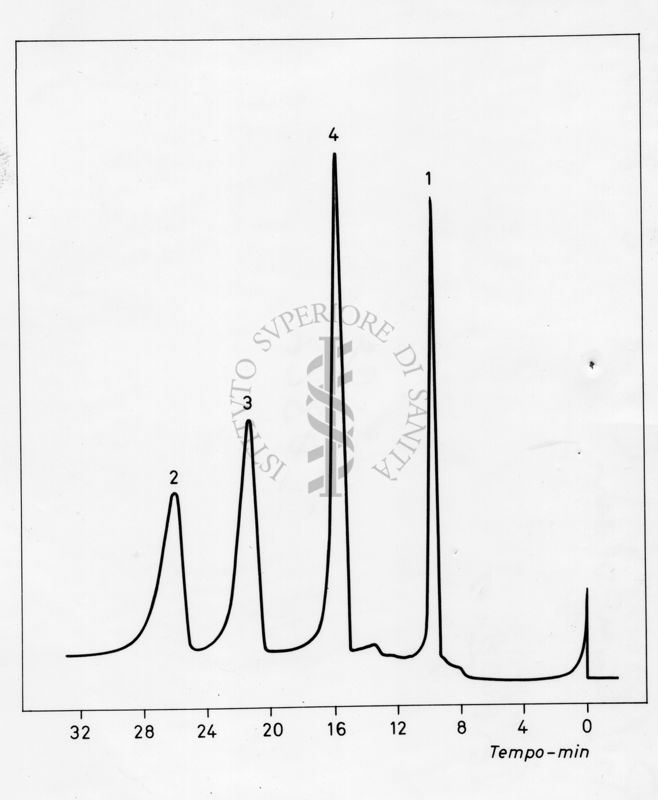 Grafico