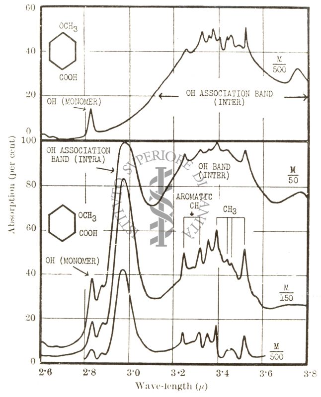 Grafico per i Rendiconti