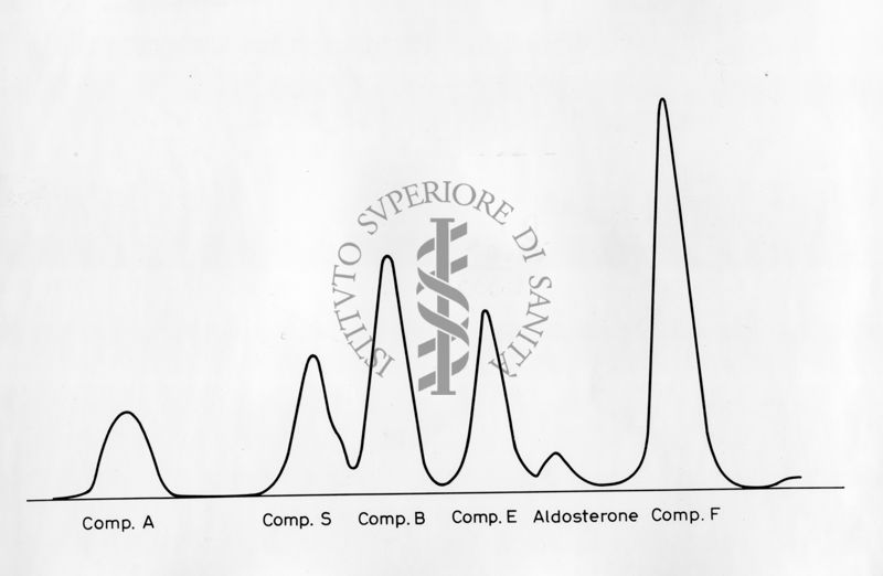 Grafico