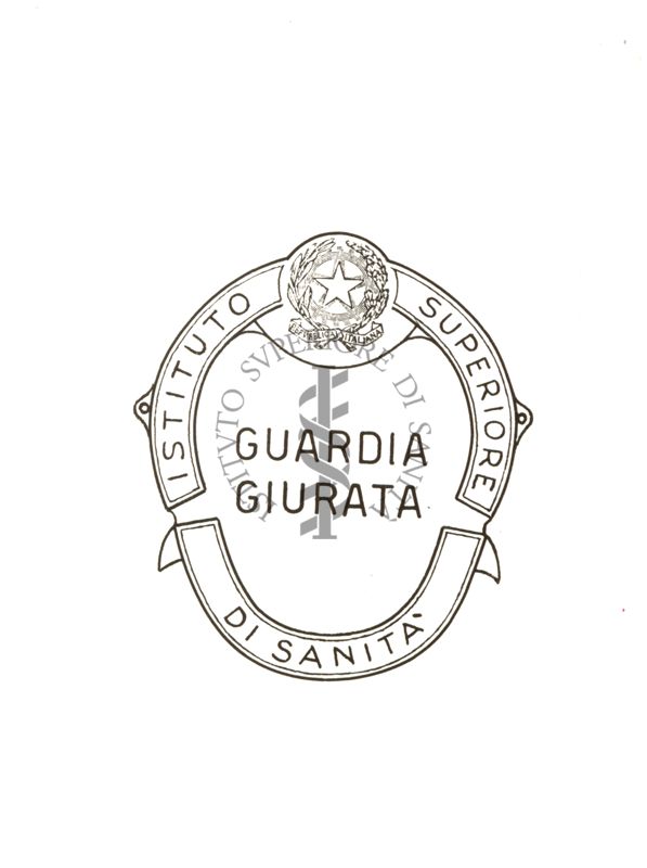 Distintivo di guardia giurata