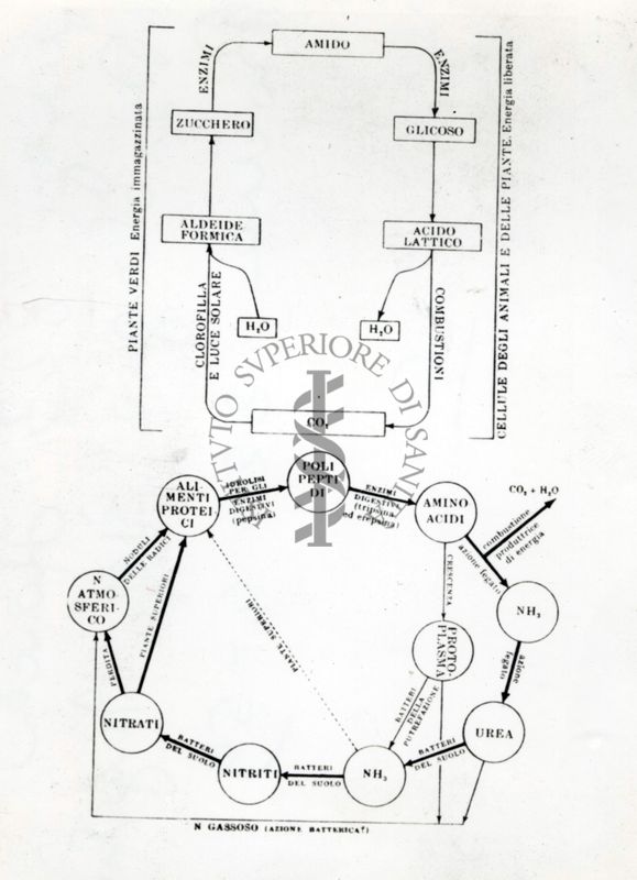 Diagramma