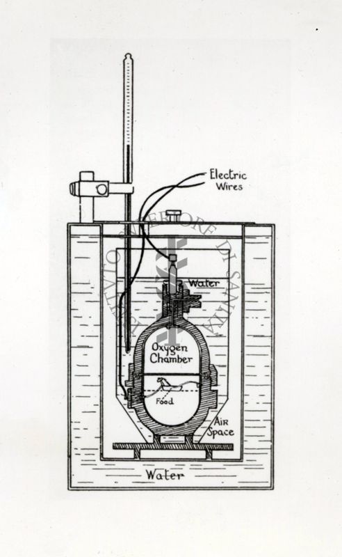 Schema di un apparecchio