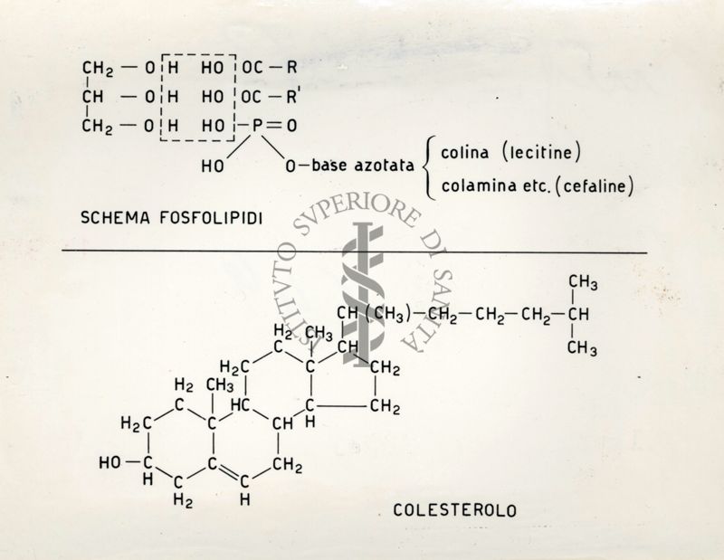 Immagine rappresentante formule chimiche per alcune sostanze