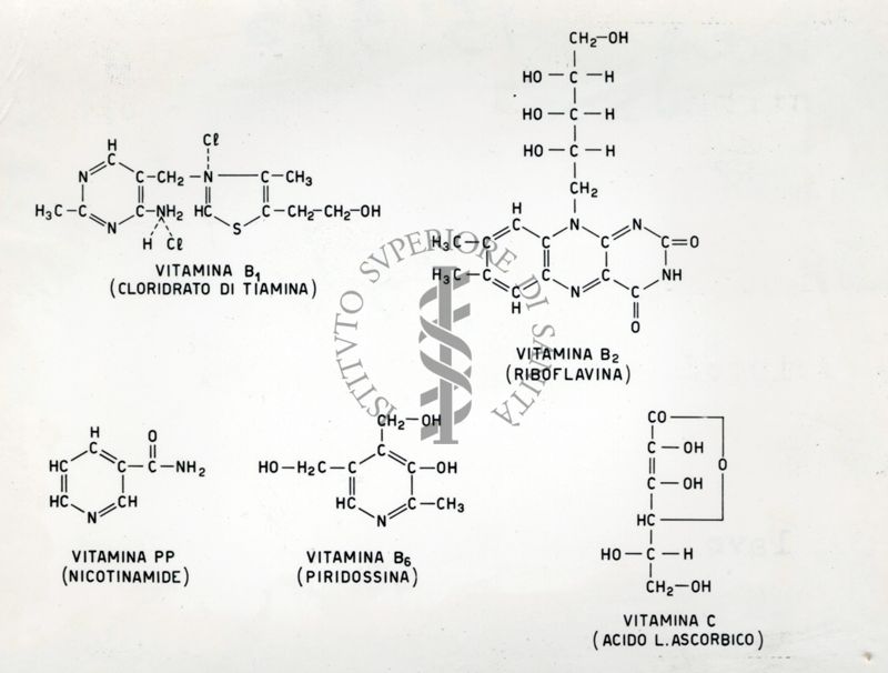 Immagine rappresentante formule chimiche per la vitamina