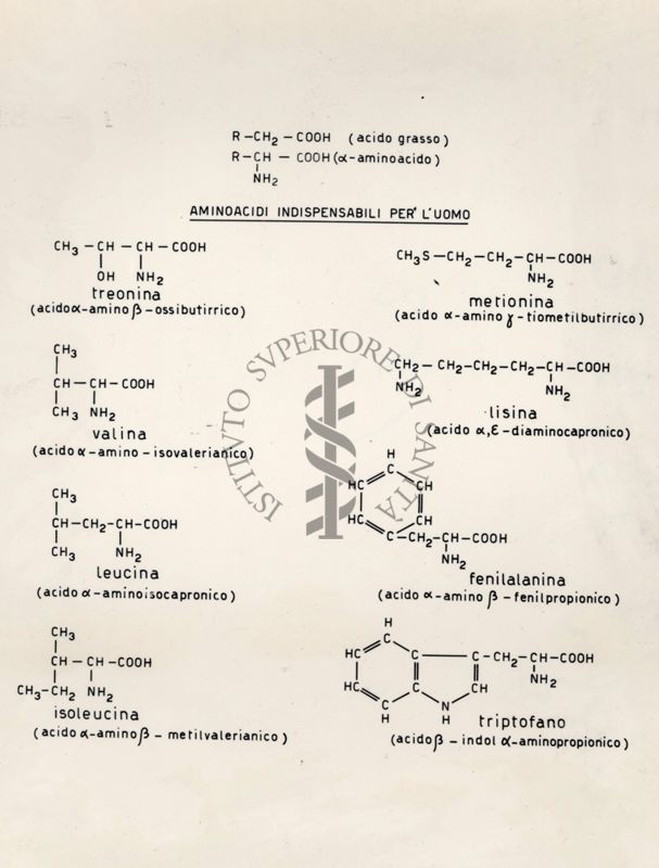 Immagine rappresentante formule chimiche di alcune sostanze per l'uomo