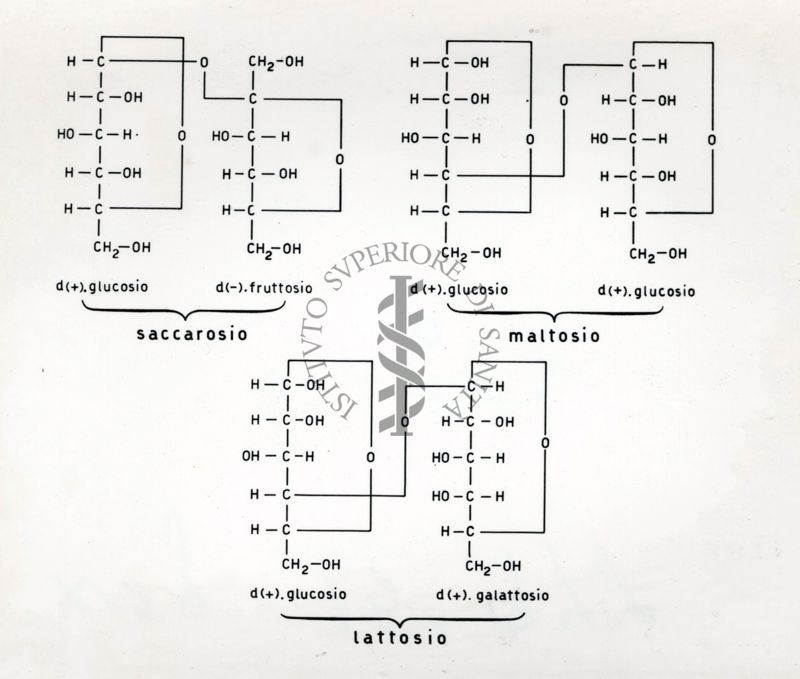 Immagine rappresentante una tabella di alcune sostanze