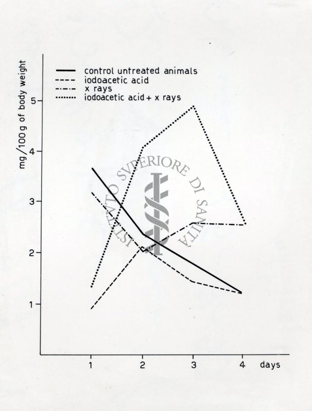 Effetto dell'acido iodo-acetico sulla escreazione globale del sodio e potassio nel ratto irradiato.