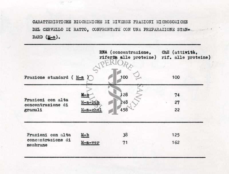 Tabella riguardante le caratteristiche biochimiche di diverse frazioni del cervello di ratto, ecc.