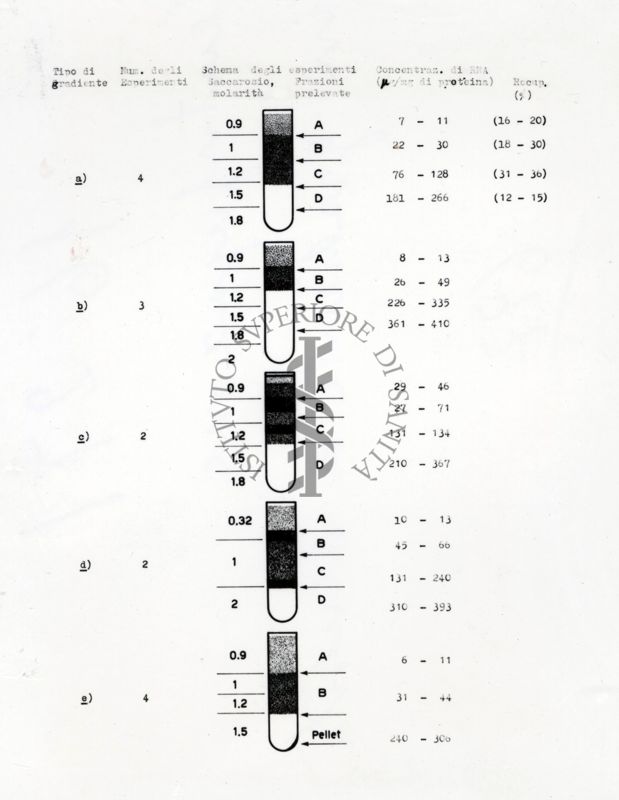 Centrifugazione in gradiente di densità