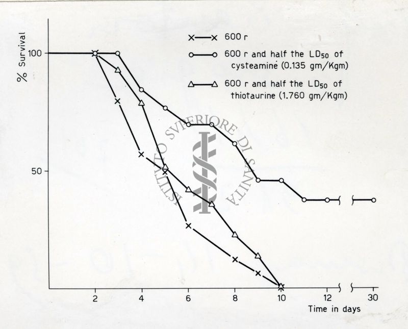 Cisteamina e tio-taurina. Esperienze come radioprotettori nel topo
