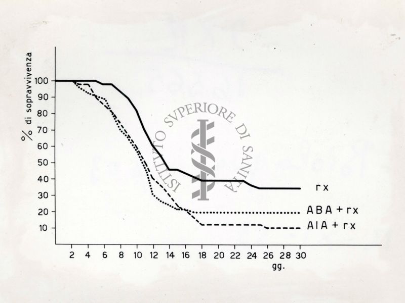 Effetto degli acidi bromo e iodo acetico sulla mortalità da irradiazione nel topo.