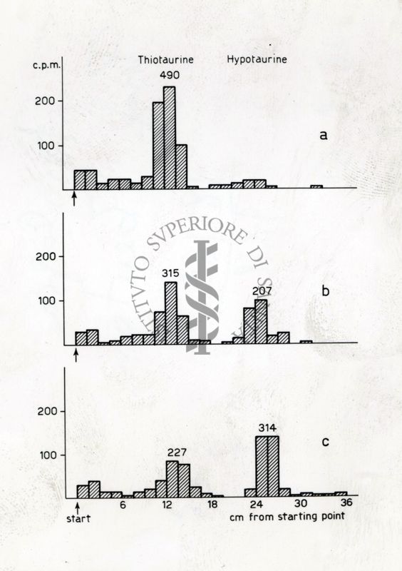 Diagrammi riguardanti la reazione di transulforazione spontanea tra tio-taurina e ipo-taurina